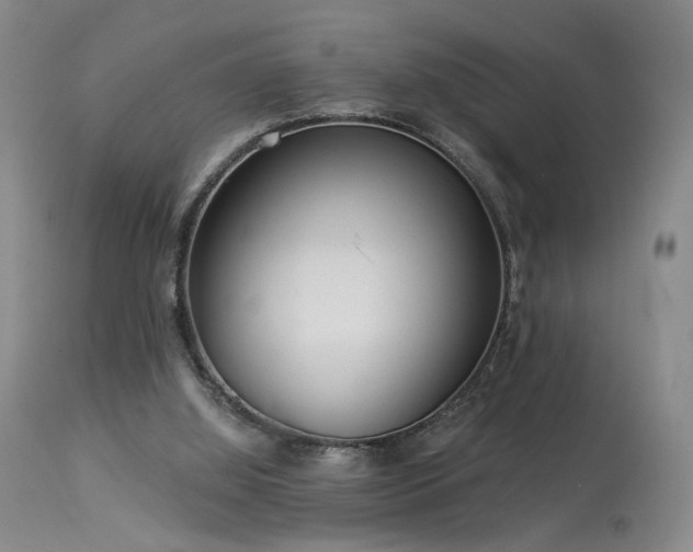 X0000113980060200910021147