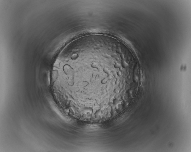 X0000113980061200910021147