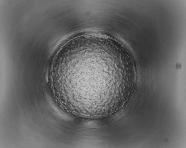 X0000113980062200910021147