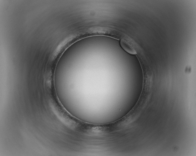 X0000113980064200910021147