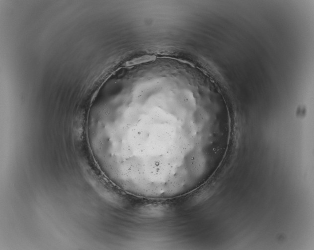 X0000113980065200910021147