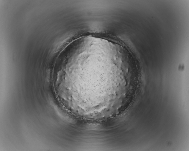 X0000113980066200910021147