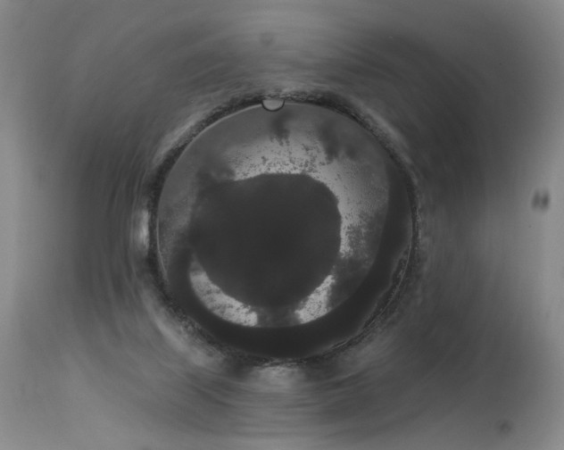 X0000113980067200910021147