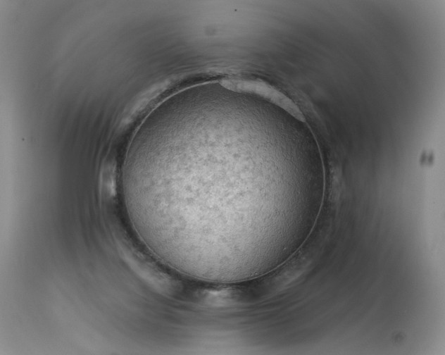 X0000113980068200910021147