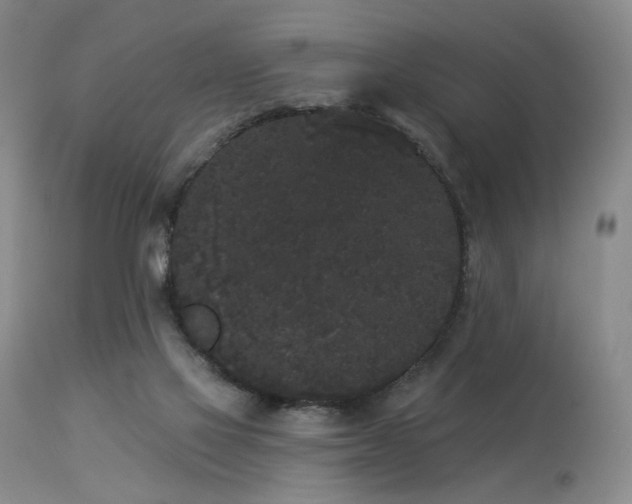 X0000113980069200910021147