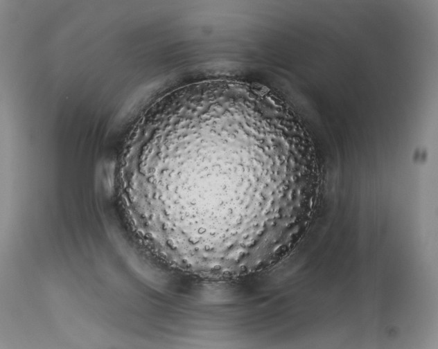 X0000113980070200910021147