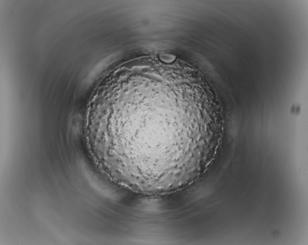 X0000113980071200910021147