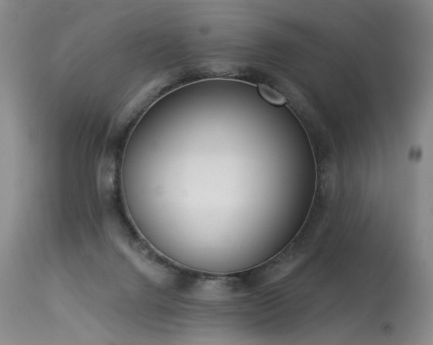 X0000113980072200910021147