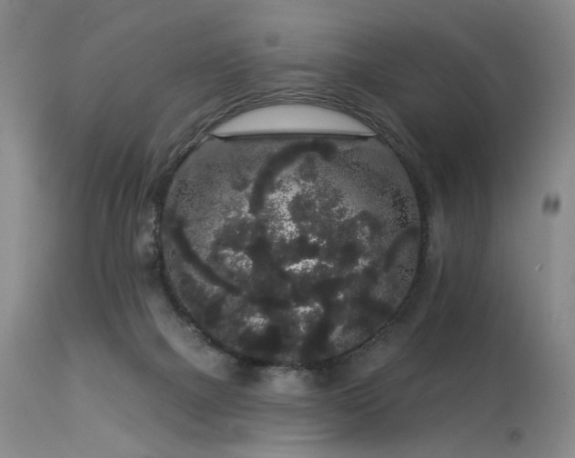 X0000113980073200910021147