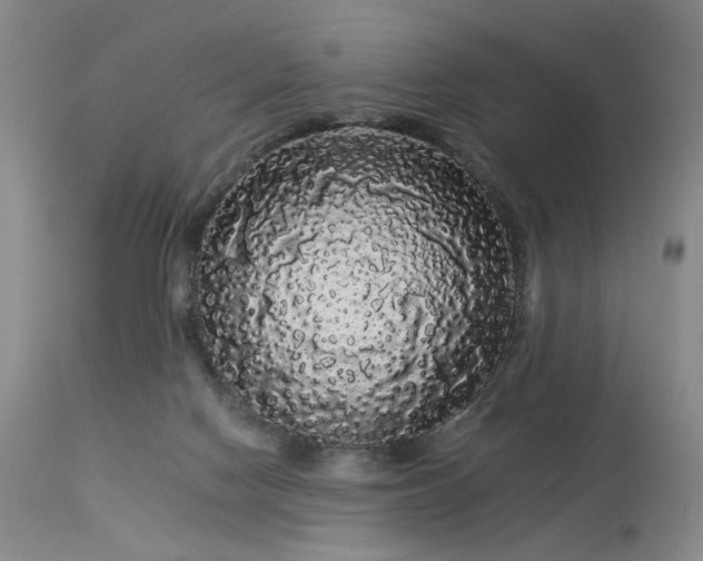 X0000113980074200910021147