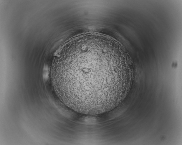 X0000113980075200910021147