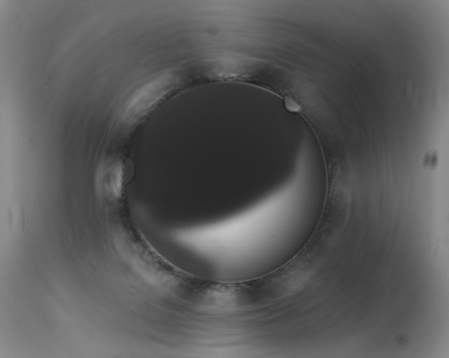 X0000113980076200910021147