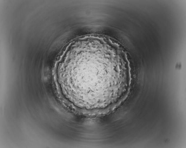 X0000113980077200910021147