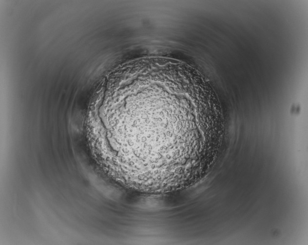 X0000113980078200910021147