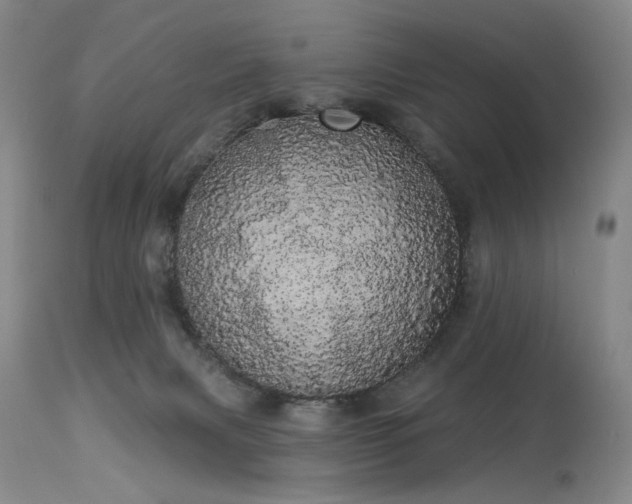 X0000113980079200910021147