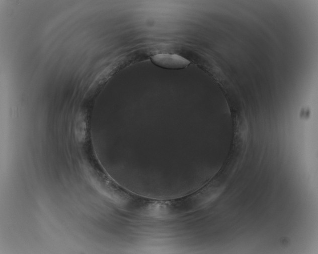 X0000113980080200910021147