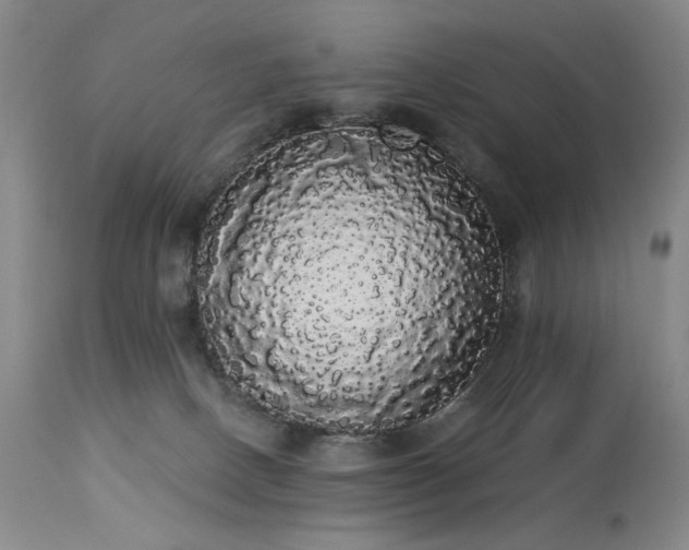 X0000113980082200910021147