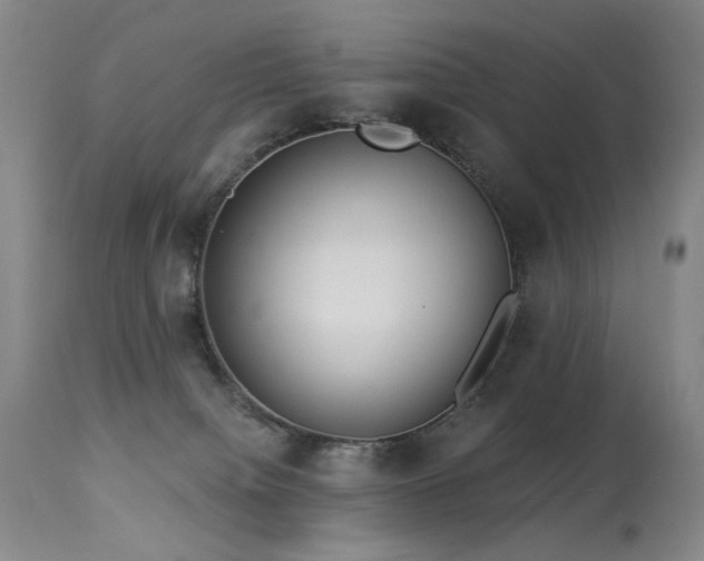 X0000113980084200910021147