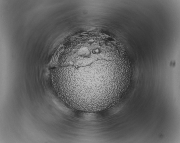 X0000113980085200910021147