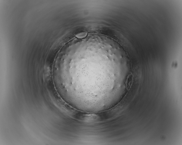 X0000113980087200910021147