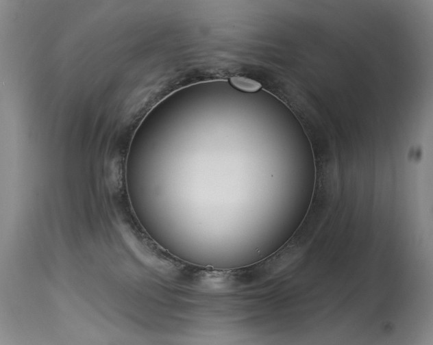 X0000113980088200910021147