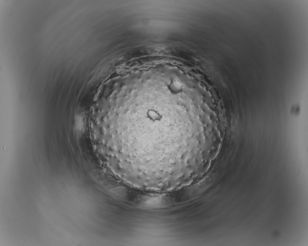 X0000113980090200910021147