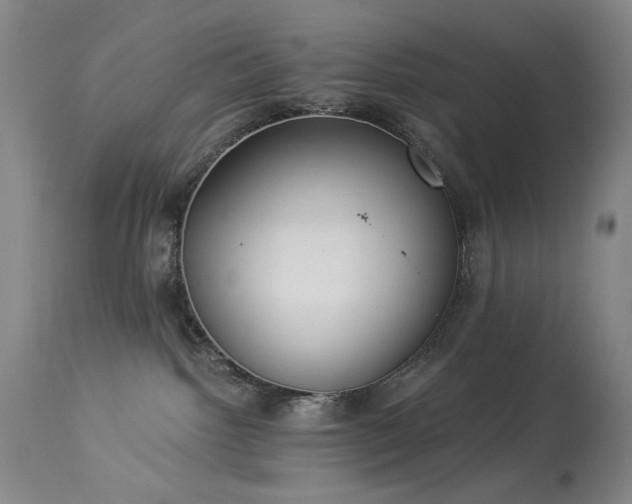 X0000113980092200910021147