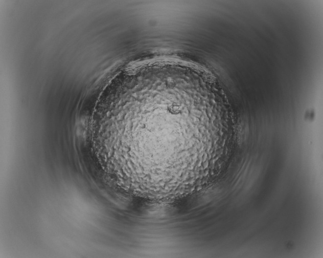 X0000113980093200910021147