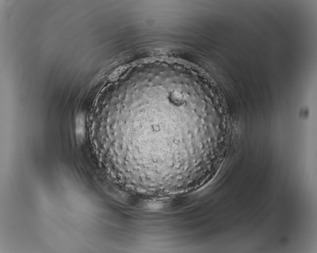 X0000113980094200910021147