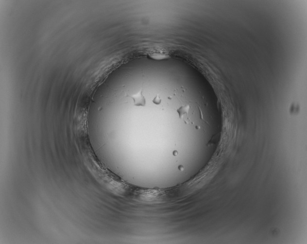 X0000113980096200910021147