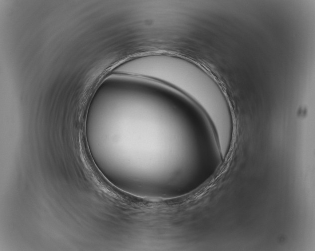 X0000113980097200910021147