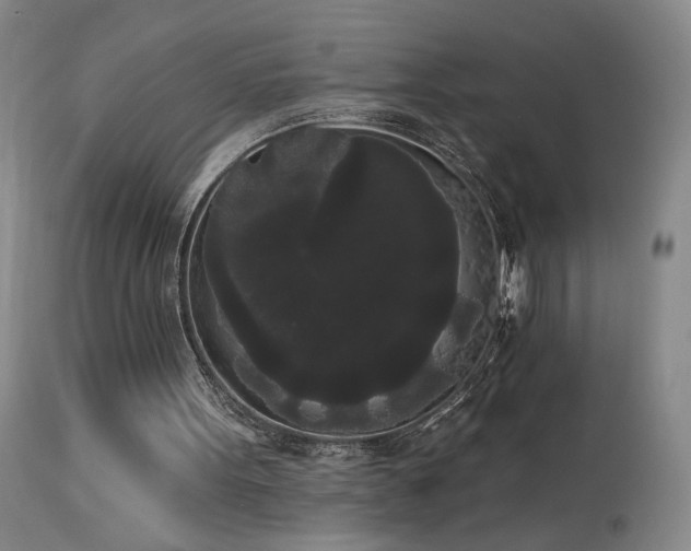 X0000113980099200910021147