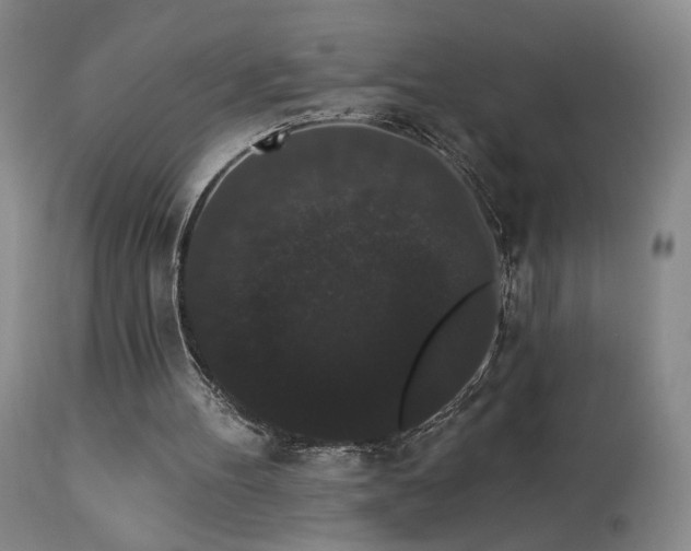 X0000113980100200910021147