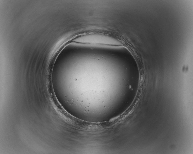 X0000113980101200910021147