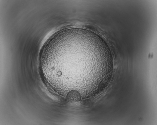 X0000113980102200910021147