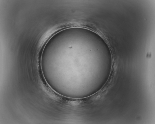 X0000113980103200910021147