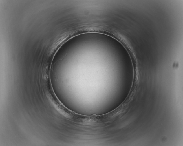 X0000113980105200910021146