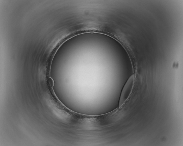 X0000113980108200910021146