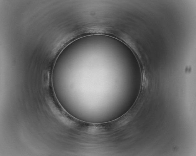 X0000113980109200910021146