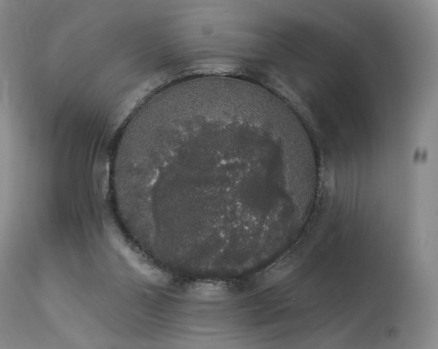 X0000113980110200910021146