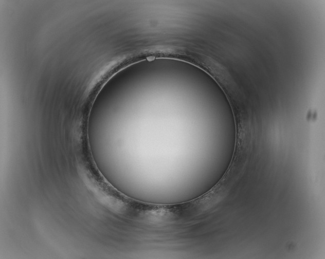 X0000113980112200910021146