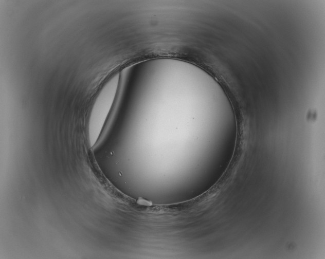 X0000113980113200910021146