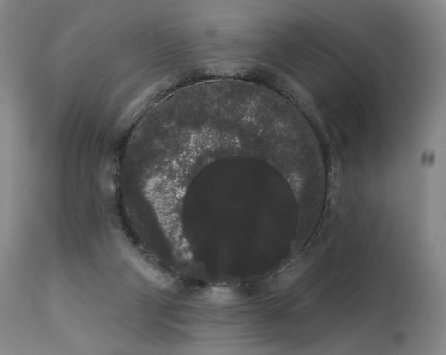 X0000113980114200910021146