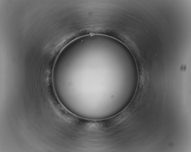 X0000113980115200910021146