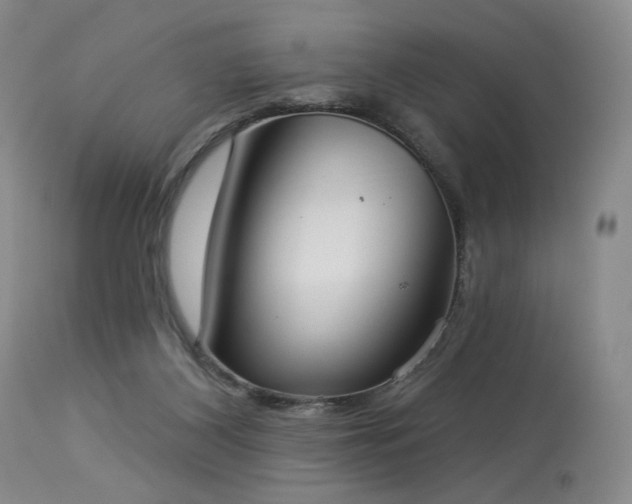 X0000113980116200910021146