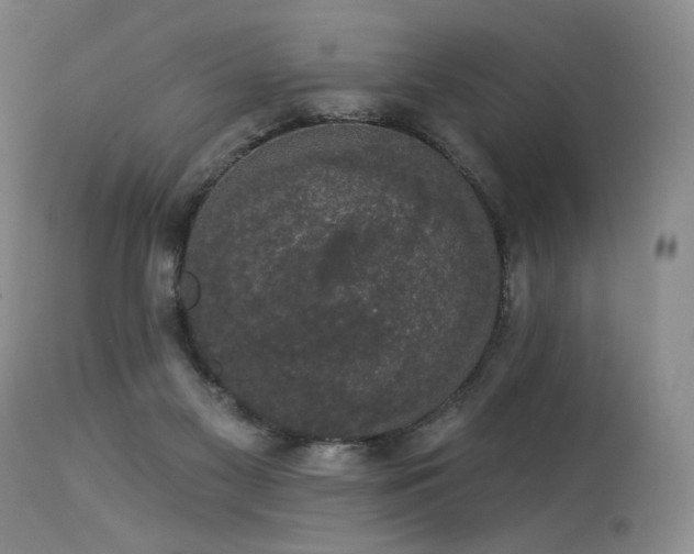 X0000113980117200910021146