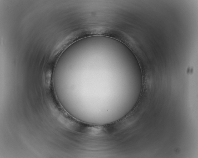 X0000113980118200910021146