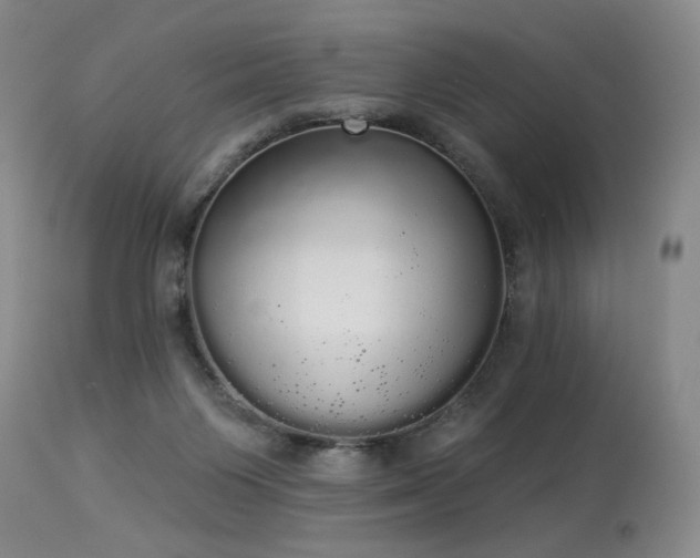 X0000113980119200910021146