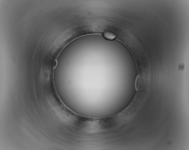 X0000113980120200910021146