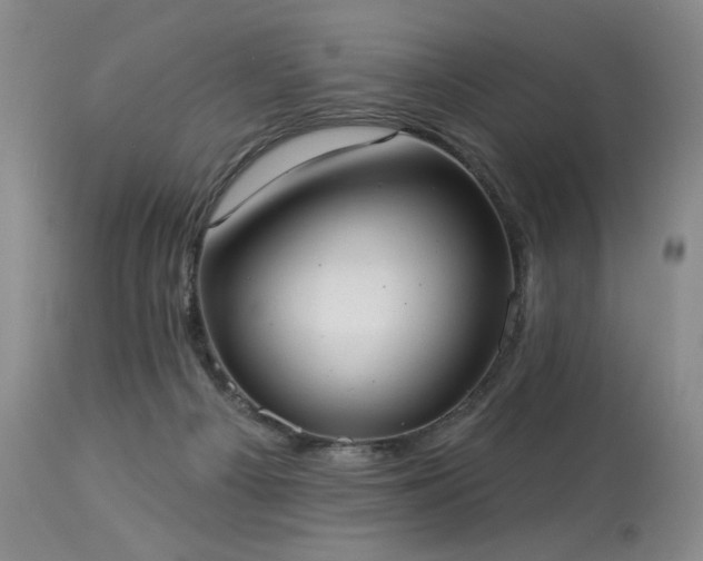 X0000113980121200910021146